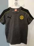 Koszulka Puma BVB