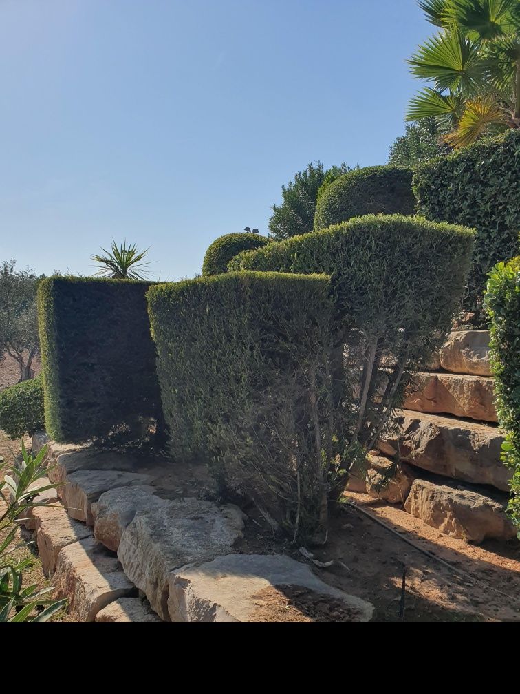 Serviço de jardinagem
