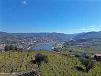 Magnifica quinta no coração do Douro com vista rio e projeto de turism