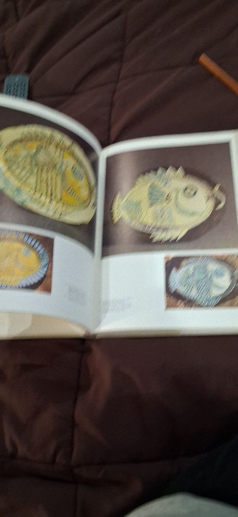 Livro cerâmica de Picasso