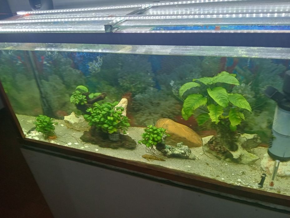 Aquário 120Litros