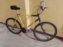 Rower Giant retro