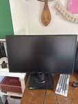 Monitor asus 165 hz 0.5ms