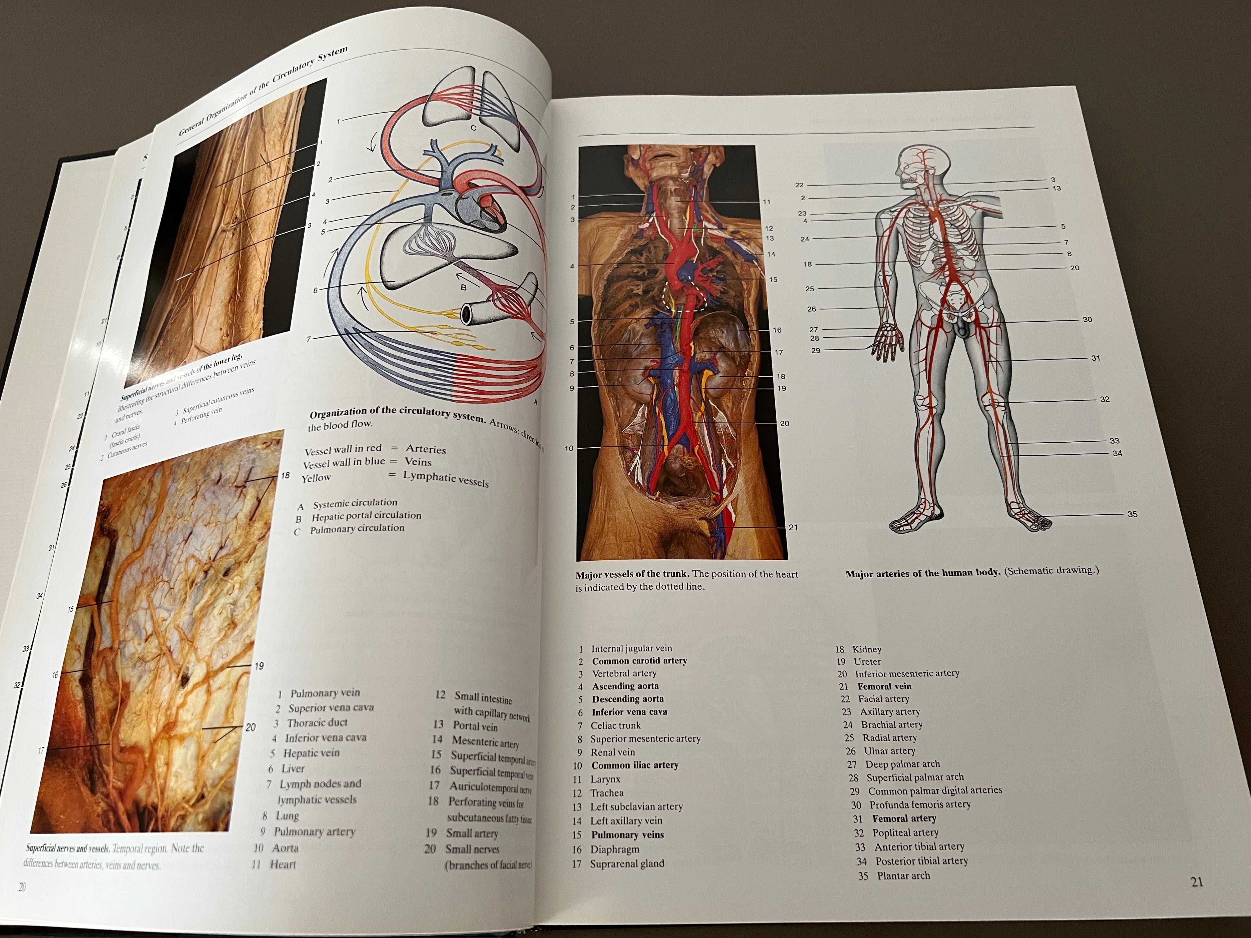 Livro Atlas Anatomia