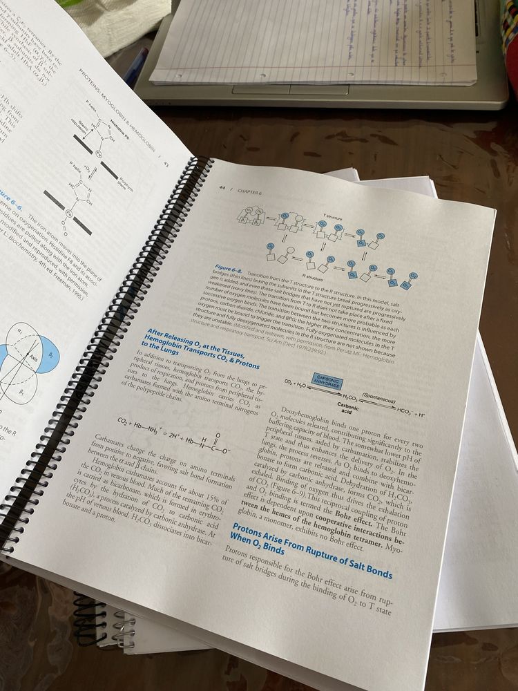 Harper's Illustrated Biochemistry