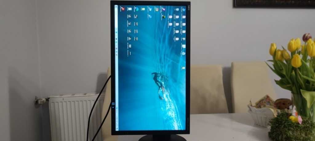 Monitor LED NEC_MultiSync EA234WMI 1920 x 1080