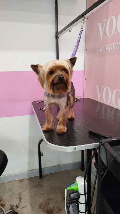 Шукаю моделей для створення портфоліо