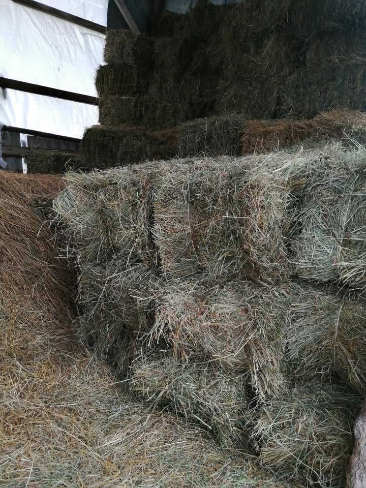 Продам сіно в тюках