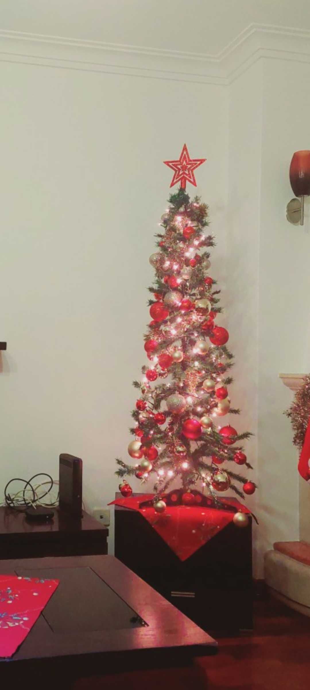 Árvore de Natal e Enfeites
