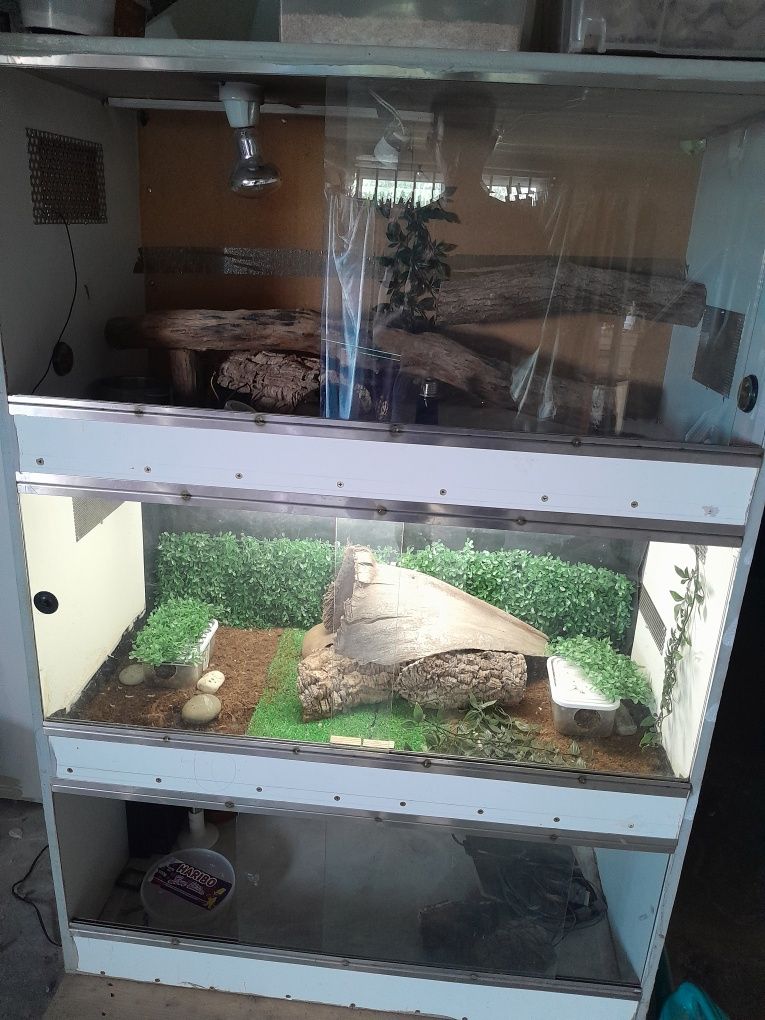 Vendo terrariocom 3 compartimentos
