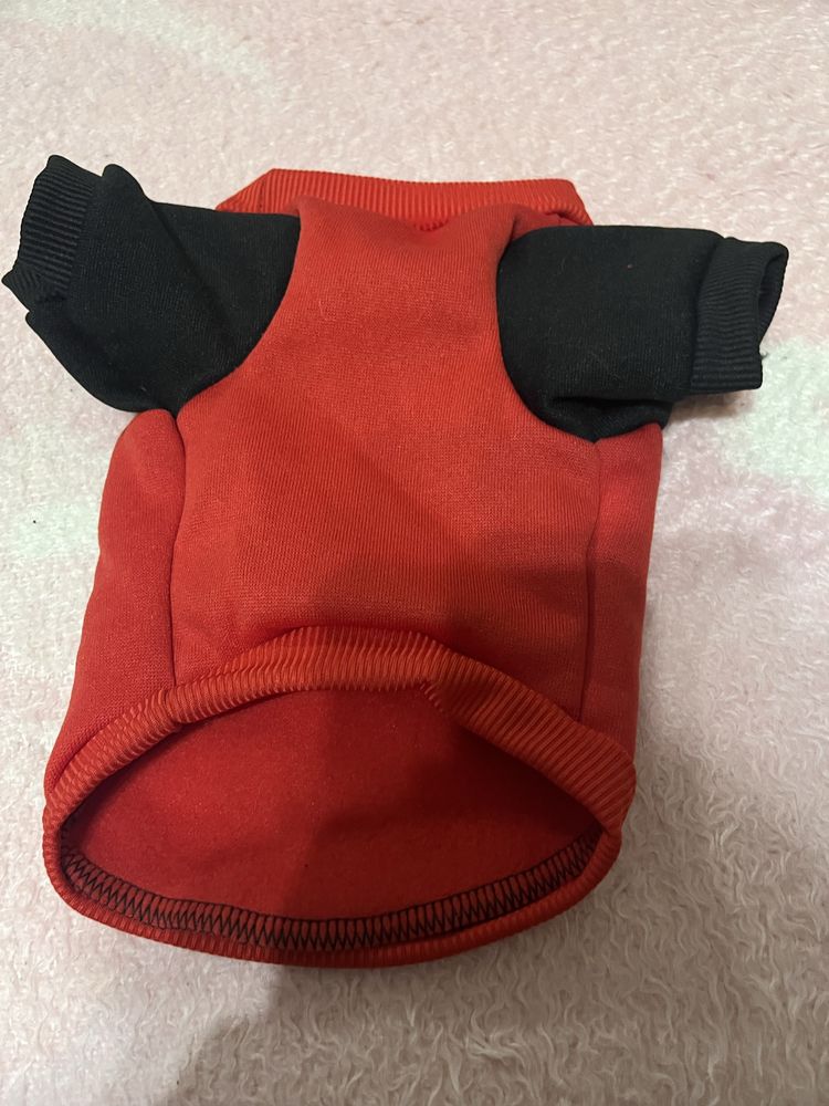 Roupa de cão sem uso