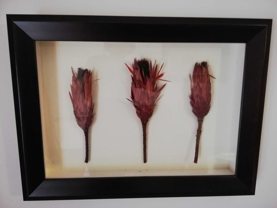 Quadro Decoração Flores Laranja