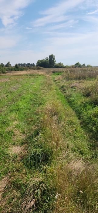 Продам ділянку с.Бишів 16 соток, власник