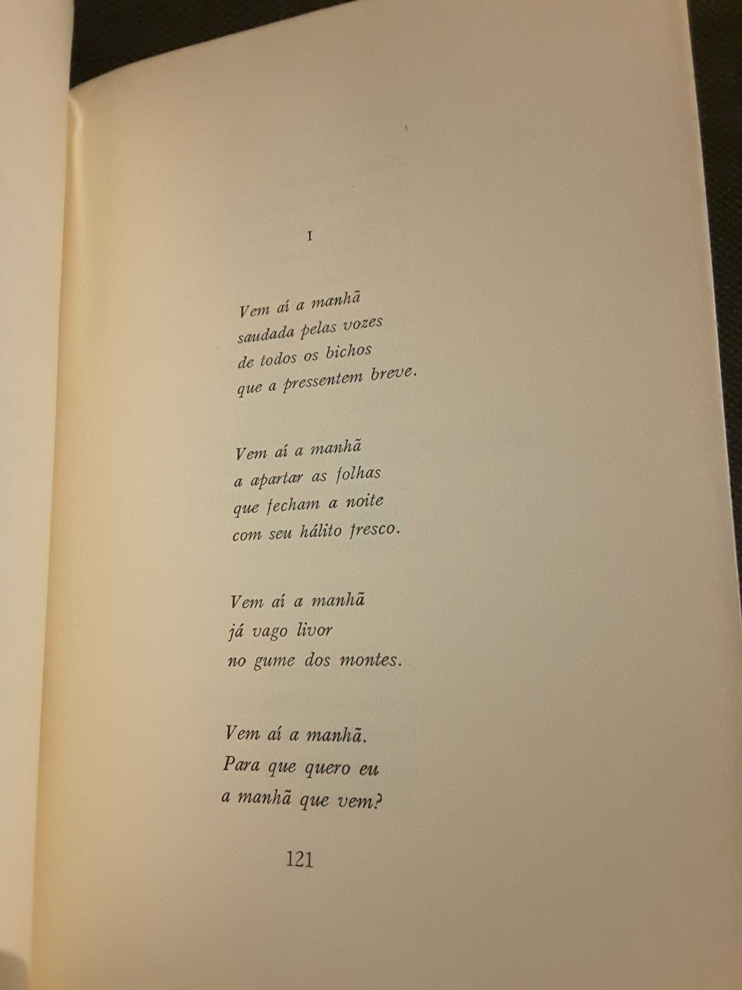 R. Brandão-Teixeira de Pascoaes/Eça Visto por Régio/João José Cachofel