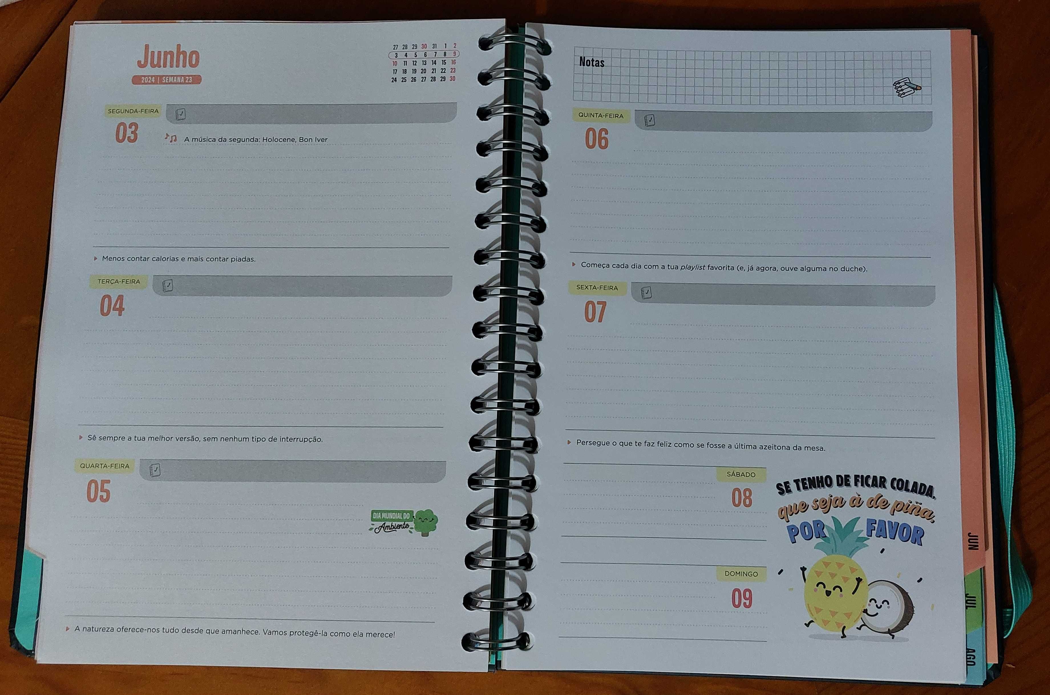 Agenda Mr Wonderful 2023/3024 nova