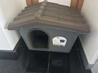 Casota para cão - tamanho médio