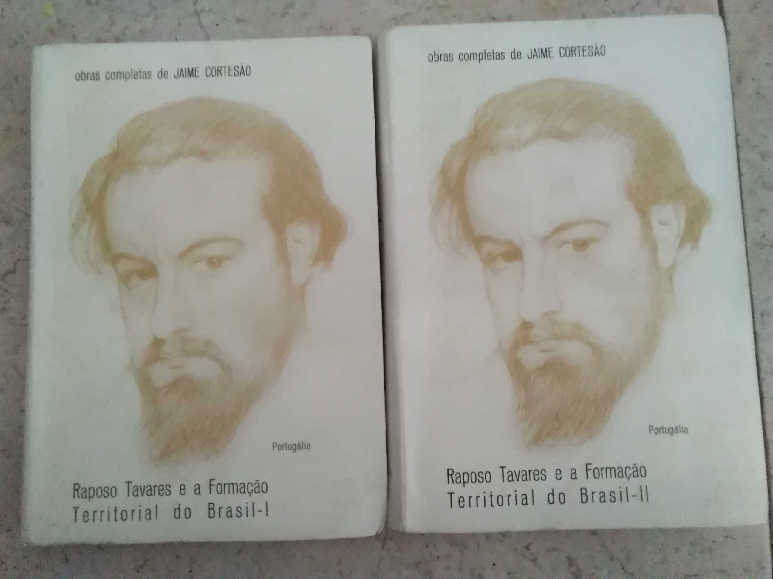 Raposo Tavares e a Formação Territorial do Brasil