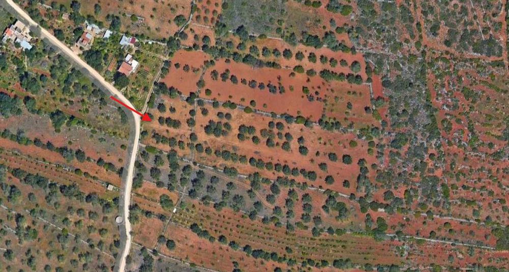 Terreno rústico para arrendar - Loulé - com eletricidade e bom acesso