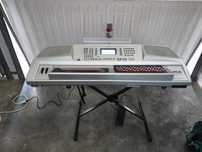Orgon Ketron XD8