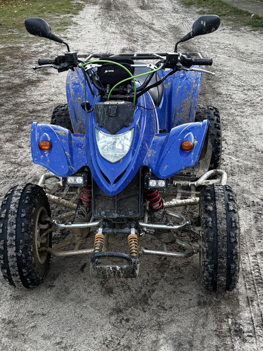 Kymco kxr250ccm