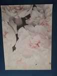 Plakat pastele piwonie