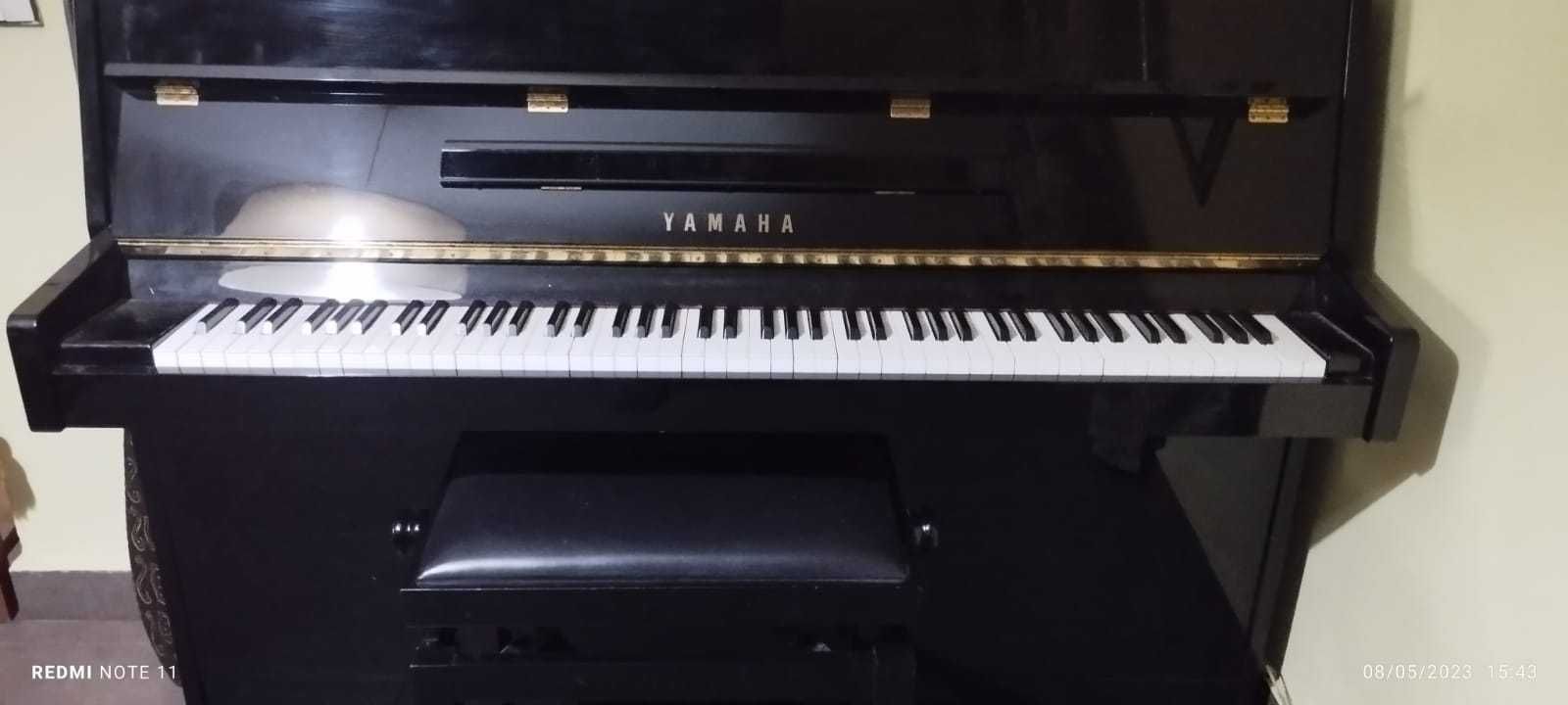 Piano à procura de um novo lar