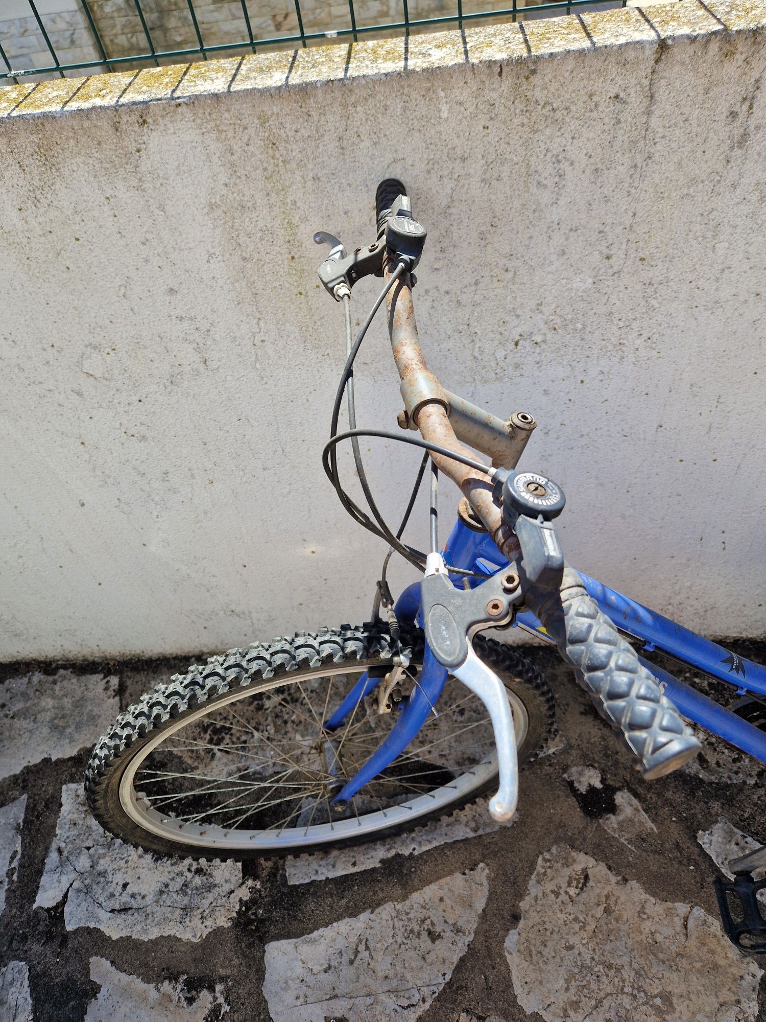 Bicicleta feminina BTT