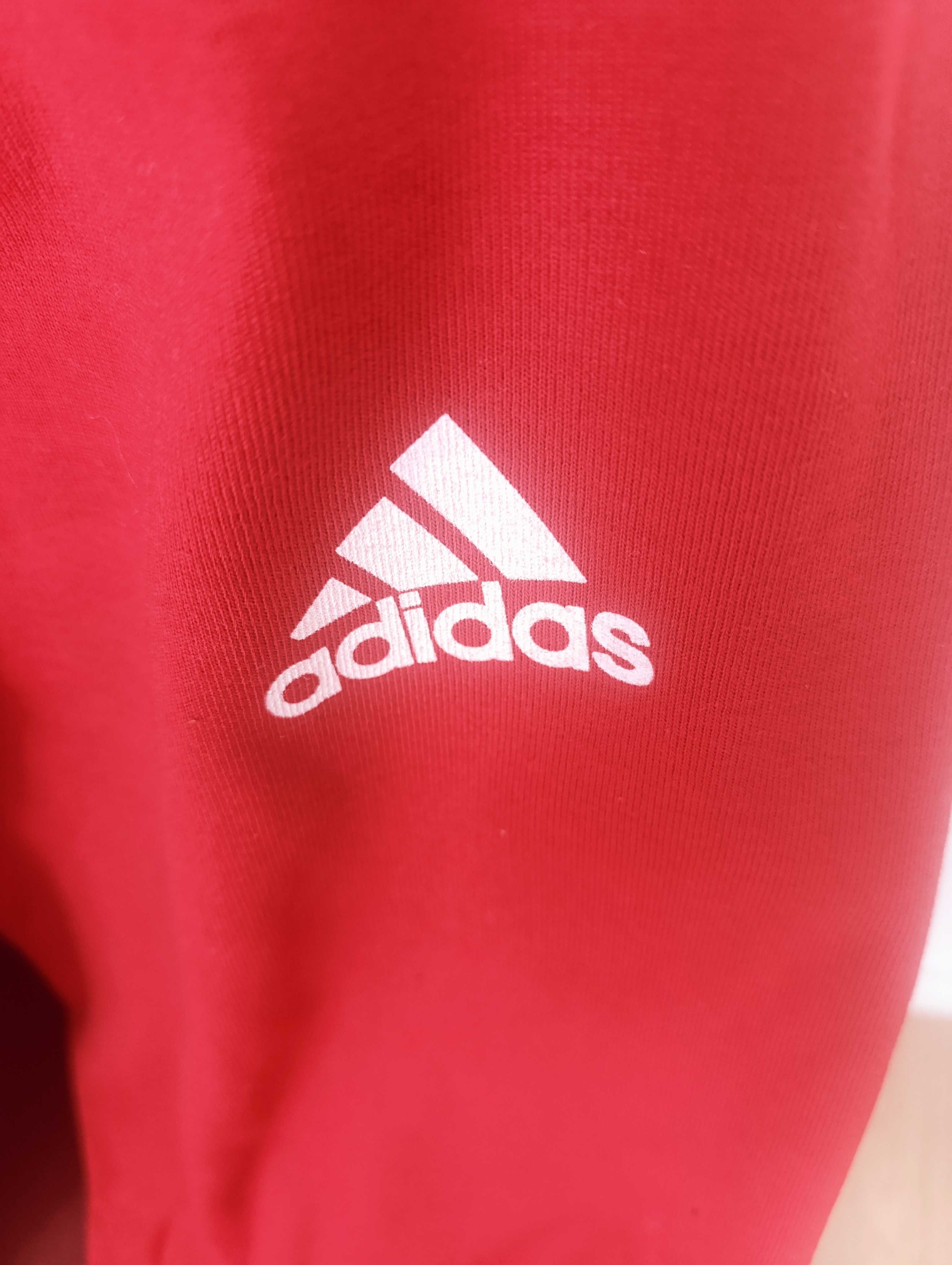 Calça Vermelha Nova