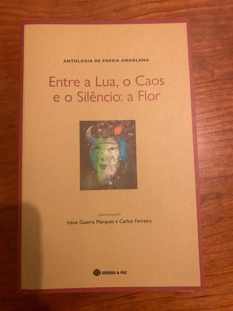 Entre a Lua, o Caos e o Silêncio: a Flor