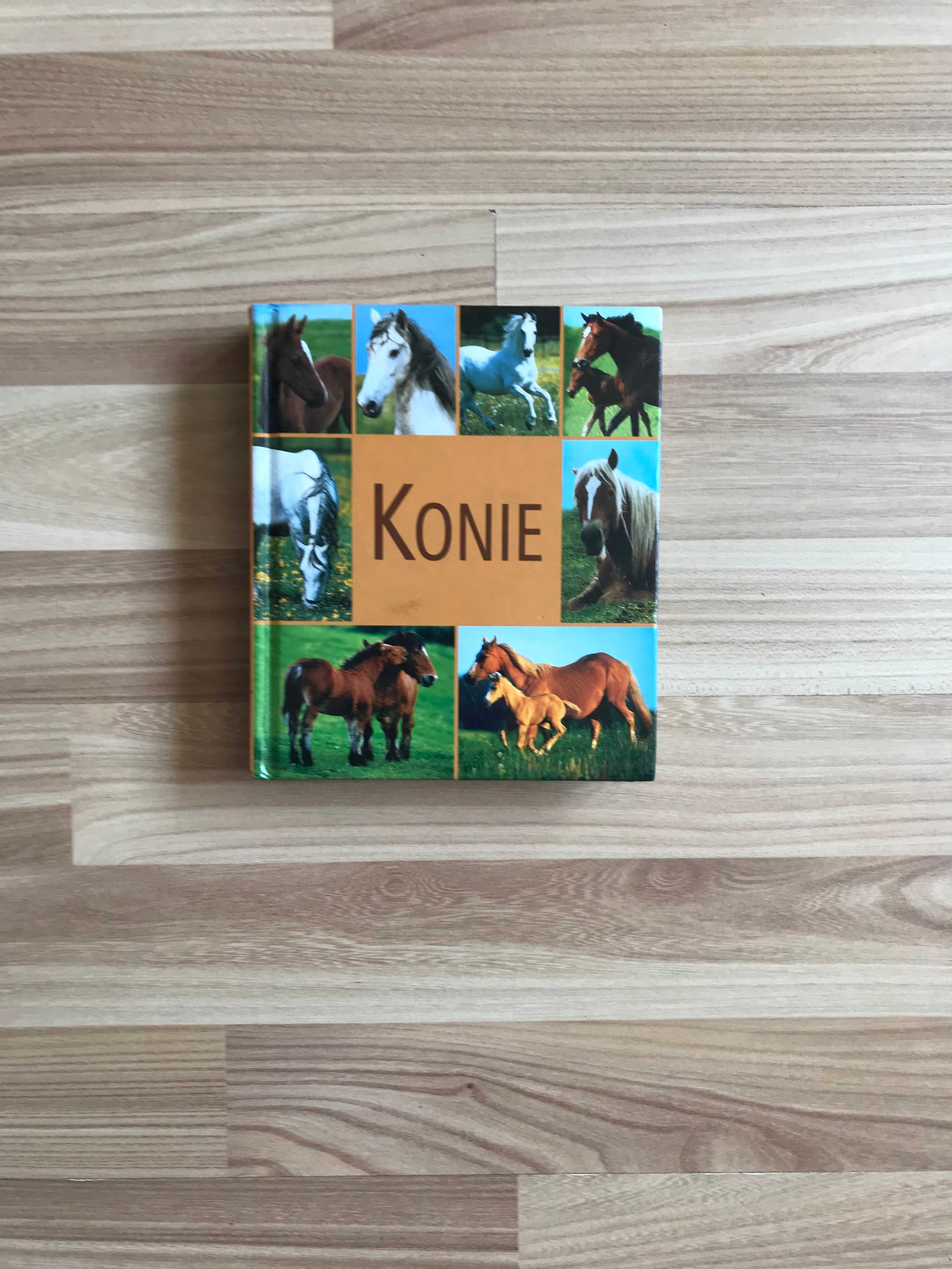 Konie książka o koniach Rasy koni choroby nauka jazdy konnej