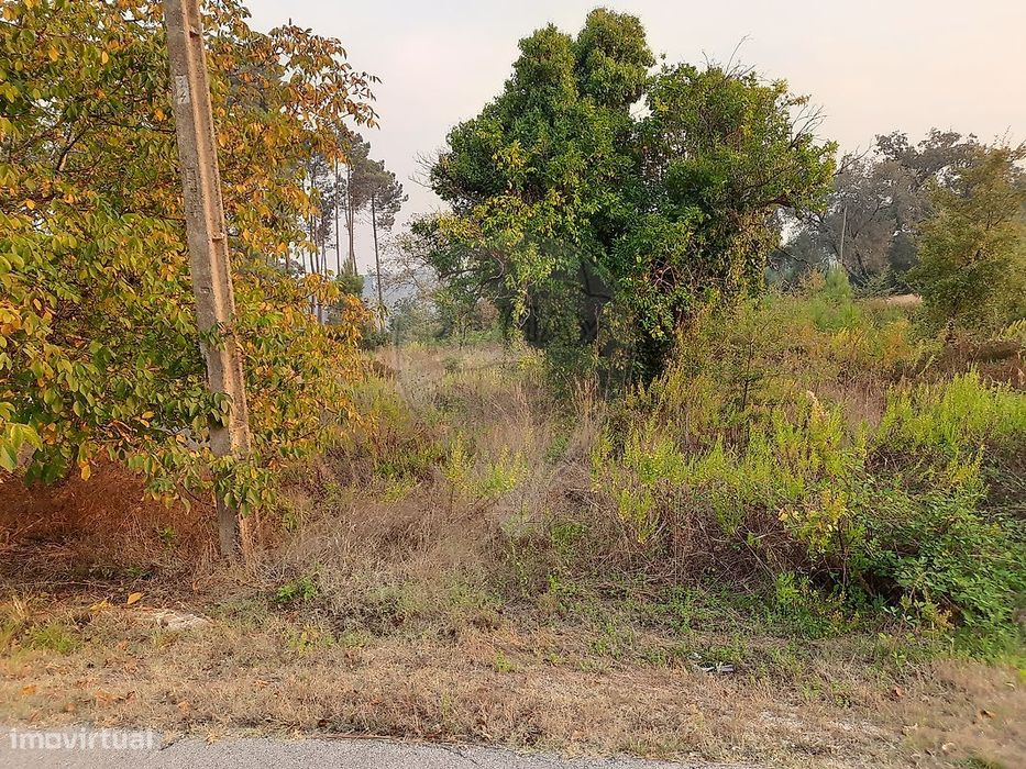 Terreno  para venda