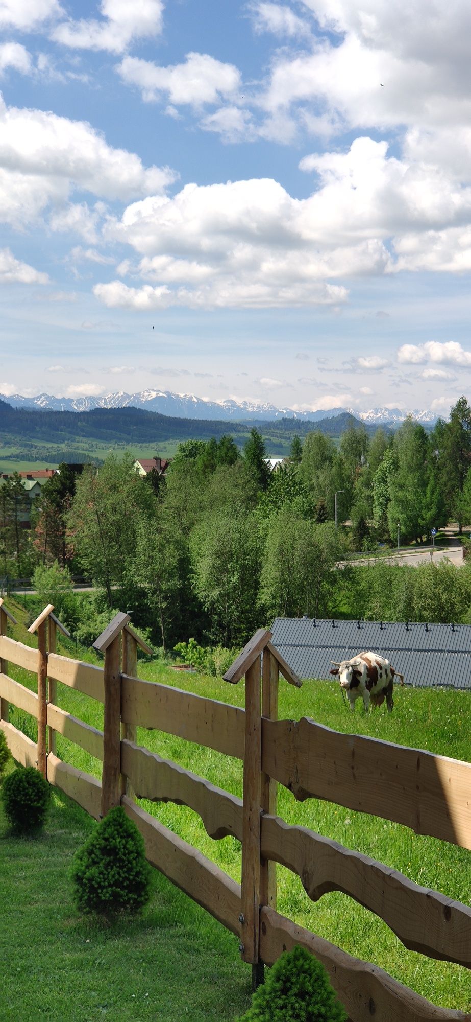 Domek nad jeziorem wolny 10-13 sierpień domek góralski jacuzzi balia