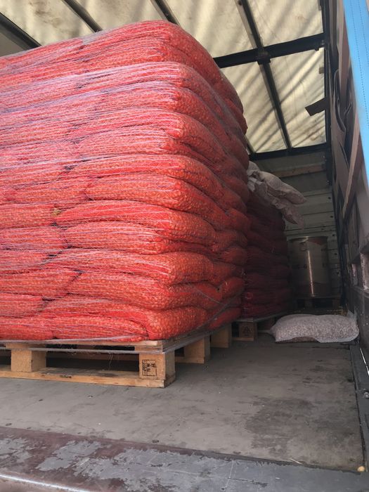 РОЗПРОДАЖ РАДАР!!! Цибуля озима голандська сівок ГУРТ Голандія