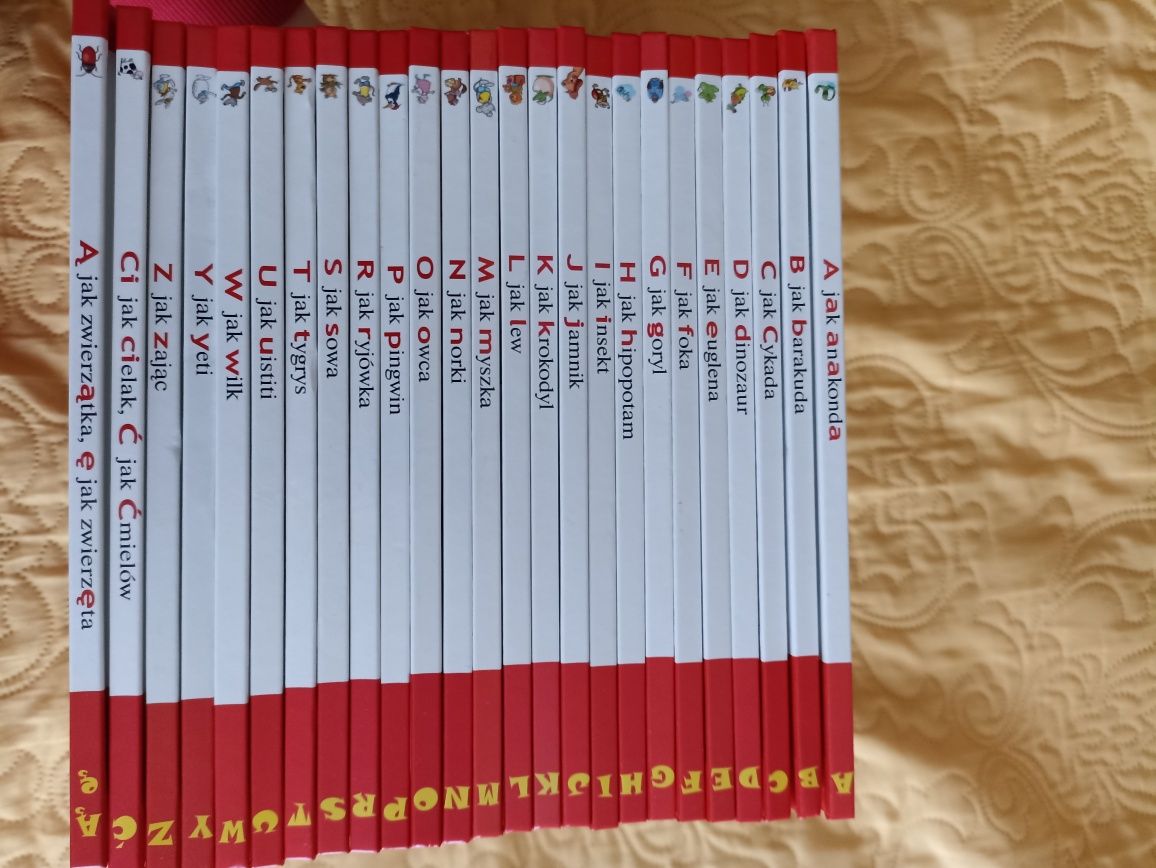 ABC Uczę się 25 sztuk