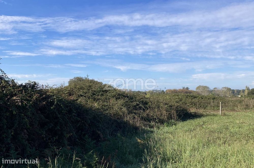 Terreno Rústico em Belinho e Mar