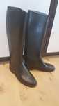 Buty jeździeckie, kalosze, oficerki  Cadett rozm. 38