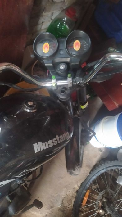 мустанг фіт 125 2023 рік