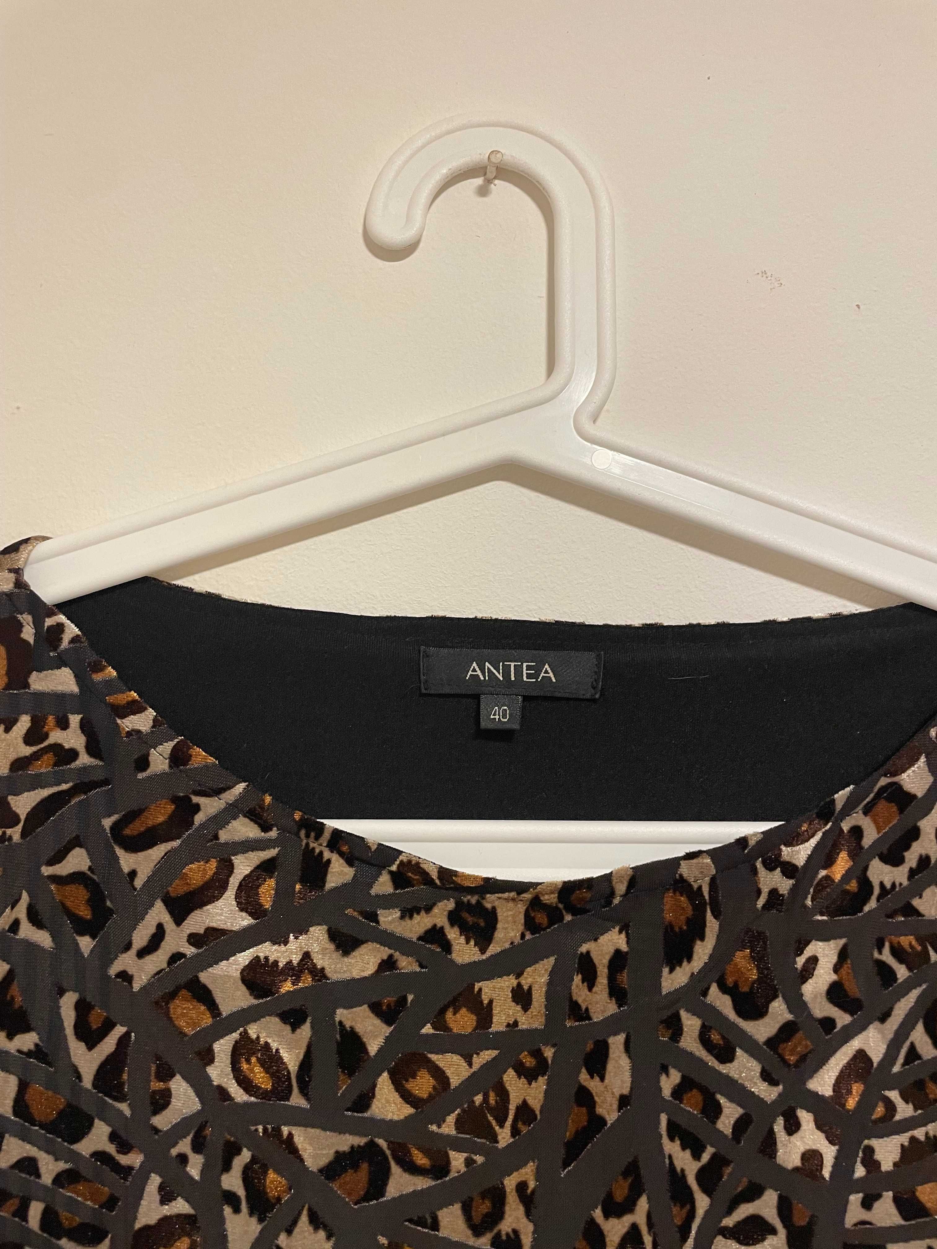 Camisola Antea Nova
