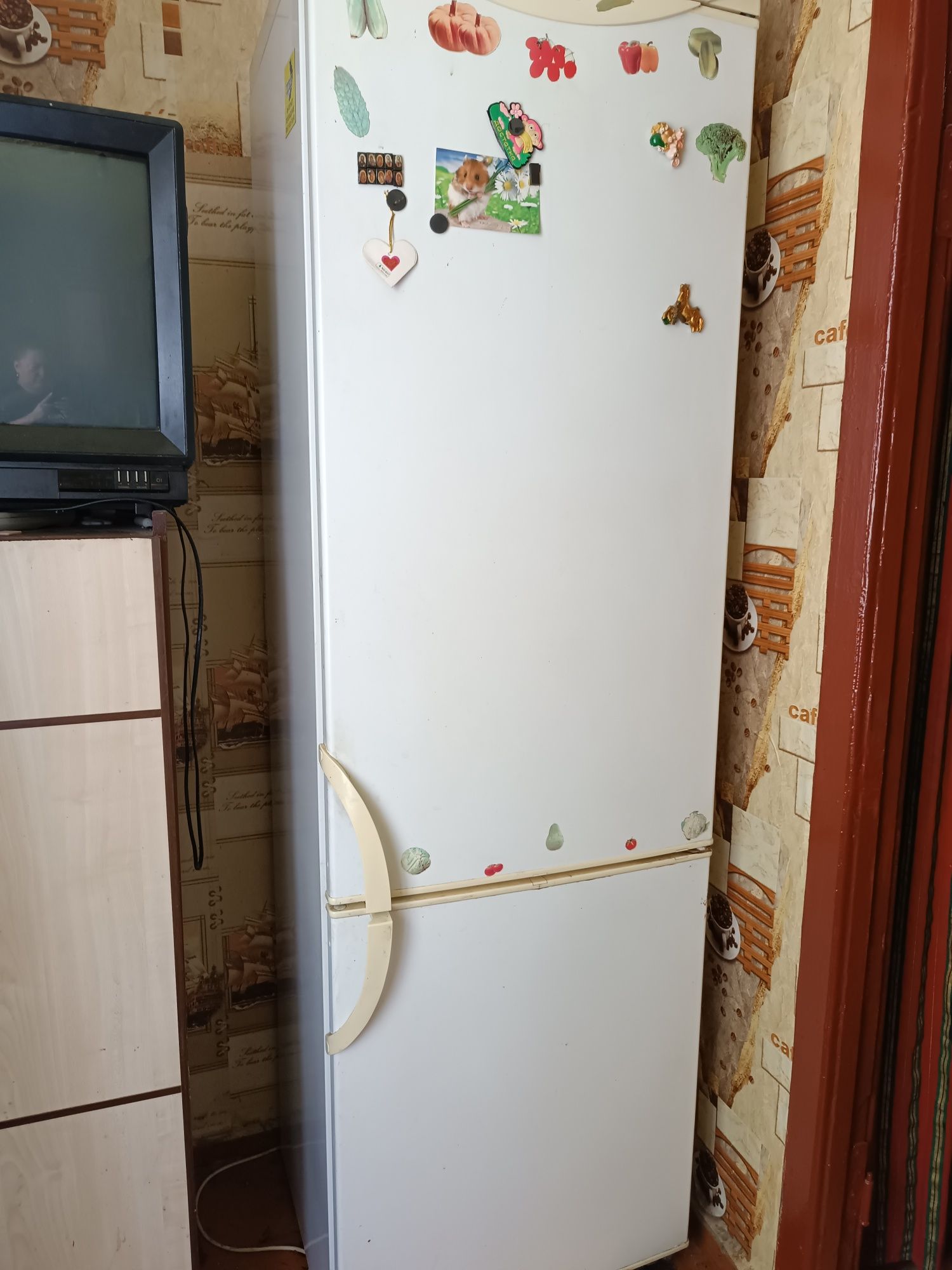 Холодильник Снайге
