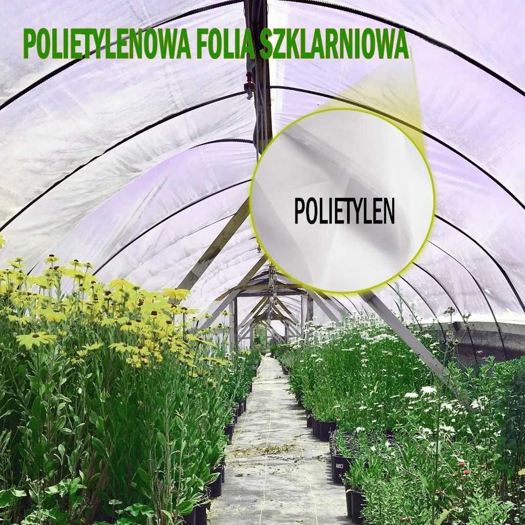 Folia szklarniowa 0,15mm UV 6,05m x 8,50m