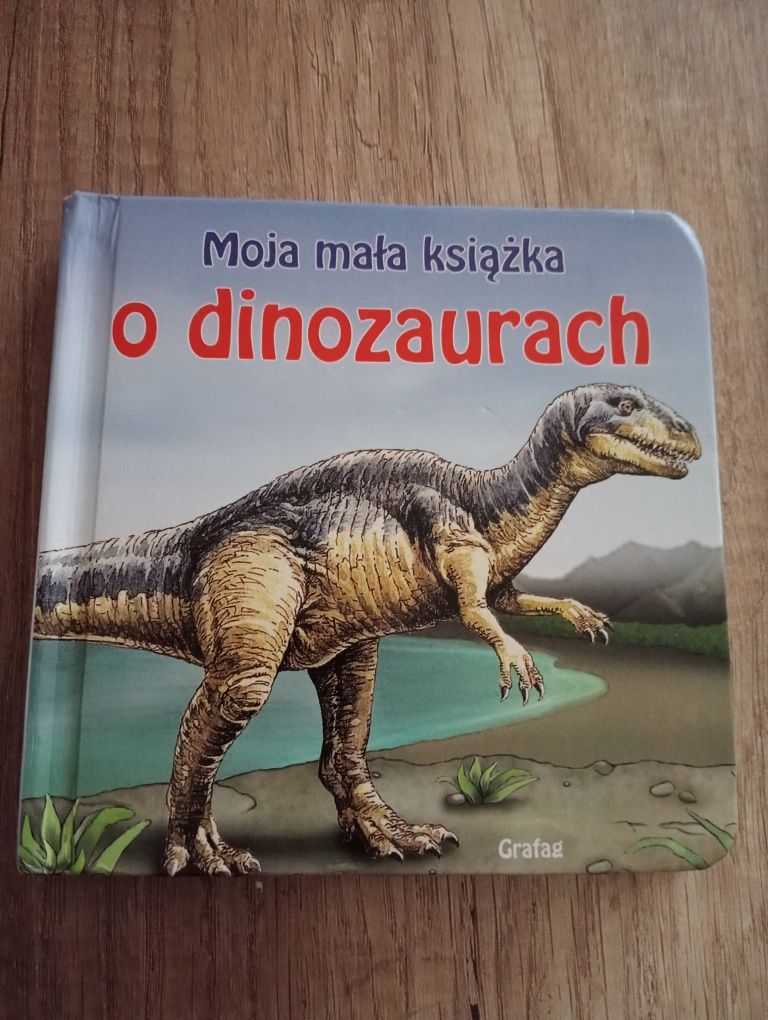 Książka dla dzieci o dinozaurach