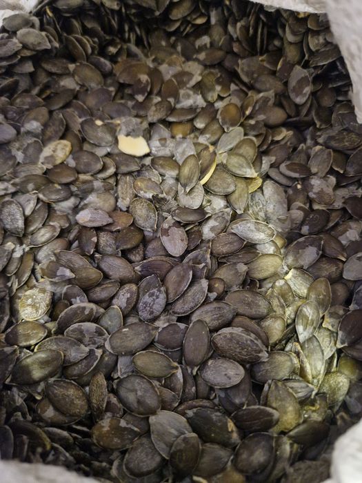 Тыквенная семечка, голосеменная семечка , насіння гарбуза