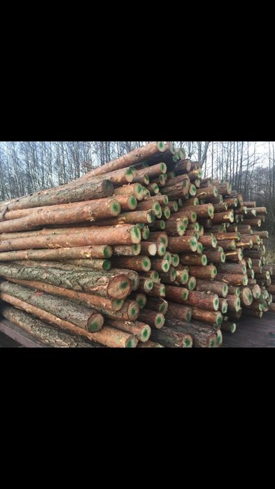 Stemple budowlane 3 m