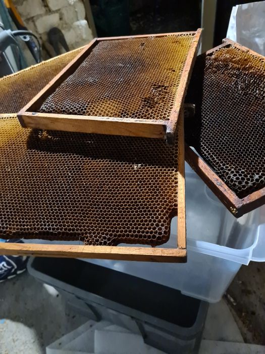 Ramki wielkopolskie-susz