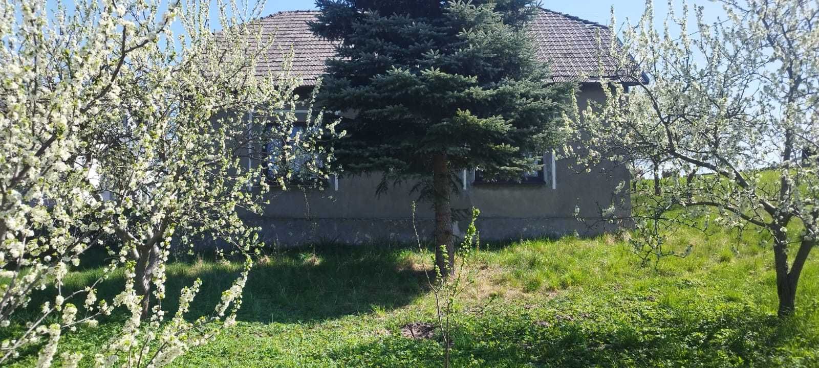 Dom z pięknym widokiem