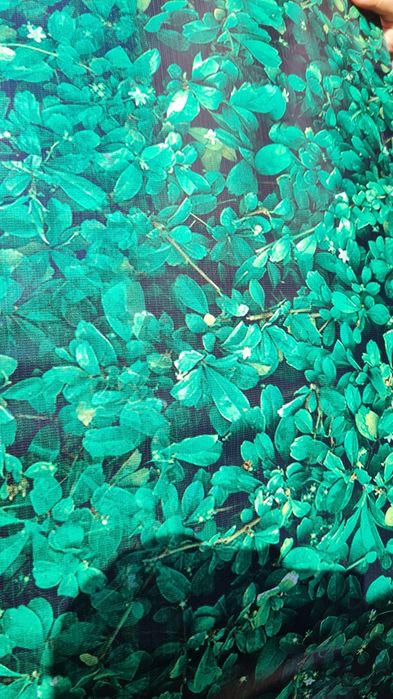 Tela para vedação "Sebes"