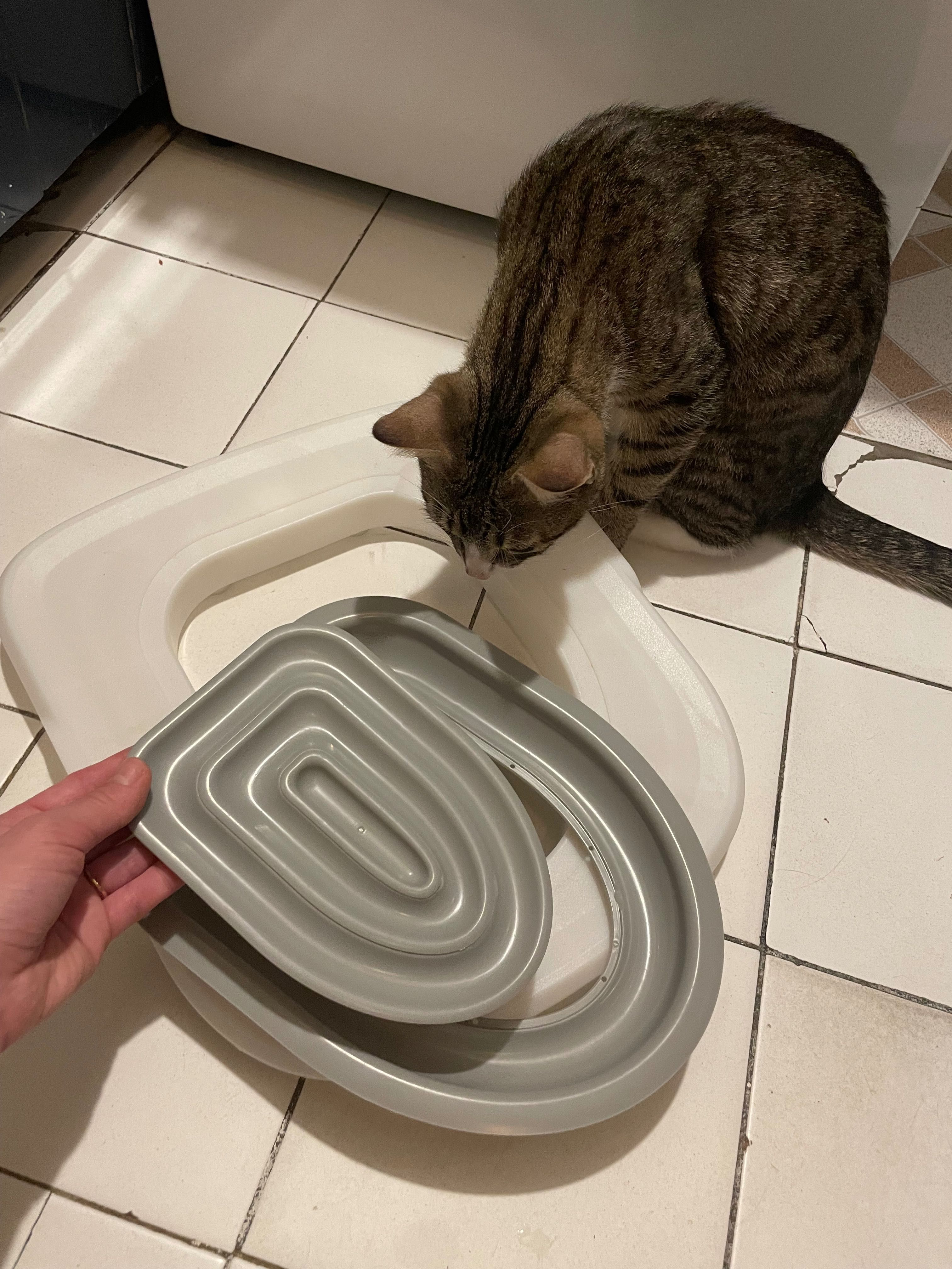 System szkolenia toalety dla kota