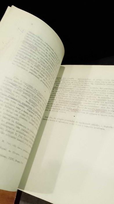 As Vilas Rurais no período Suévico-Bizantino L. Quintas Neves