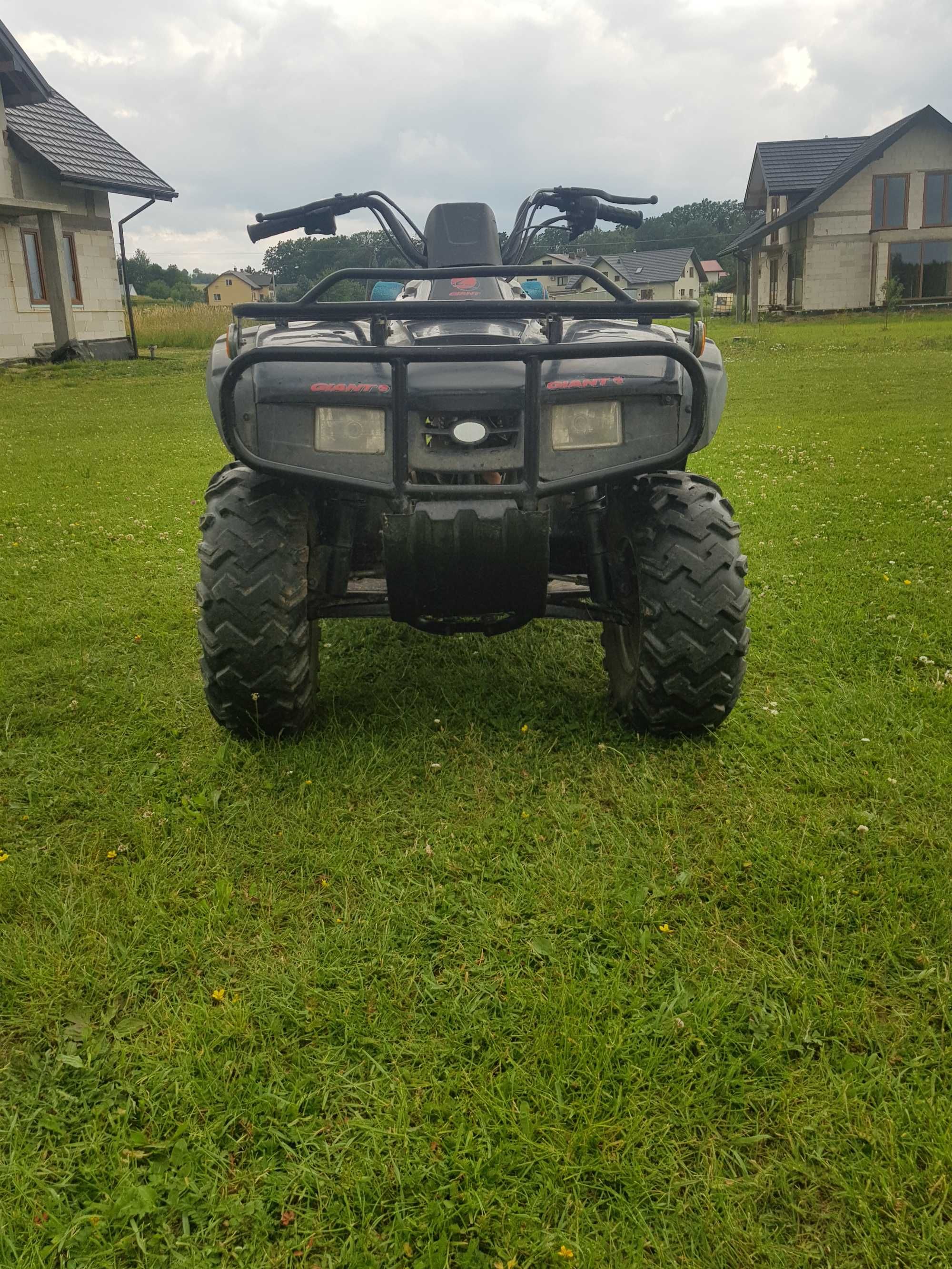 Quad Bashan BS-250s-5