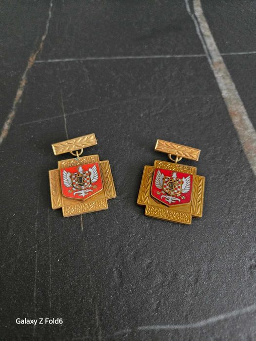 Odznaka za zasługi dla Województwa wielkopolskiego